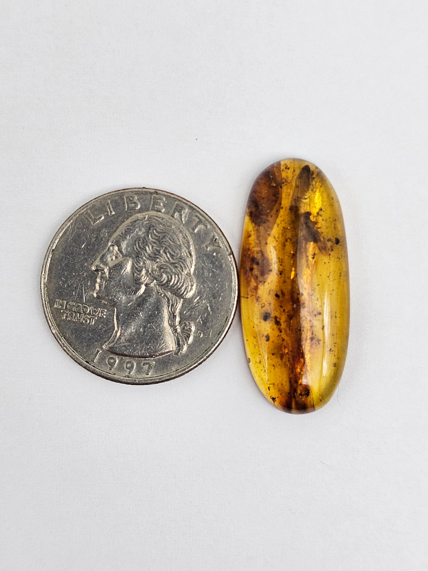 Real amber with insect inclusion
