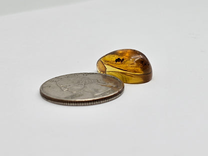 Real amber with insect inclusion