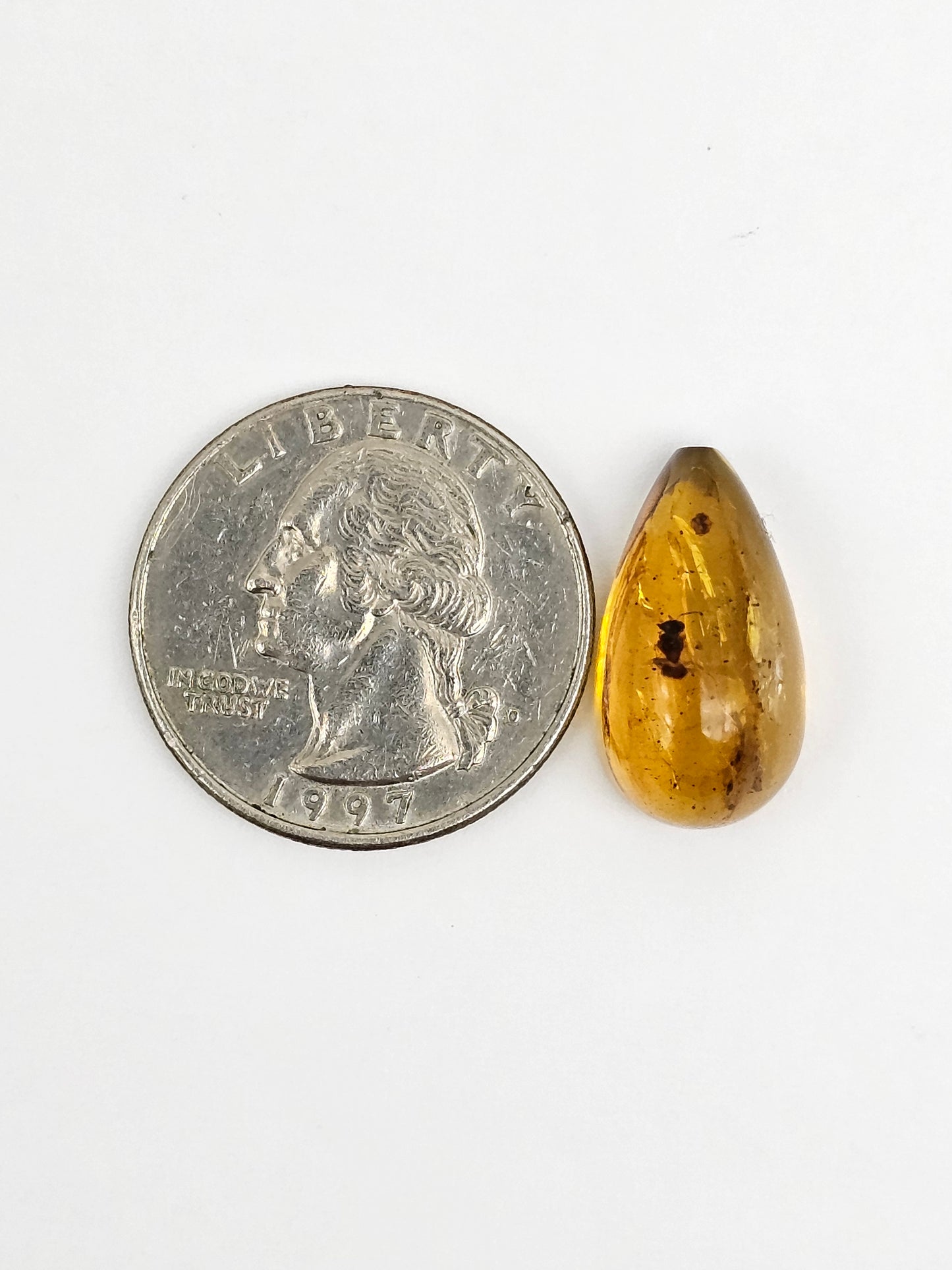 Real amber with insect inclusion