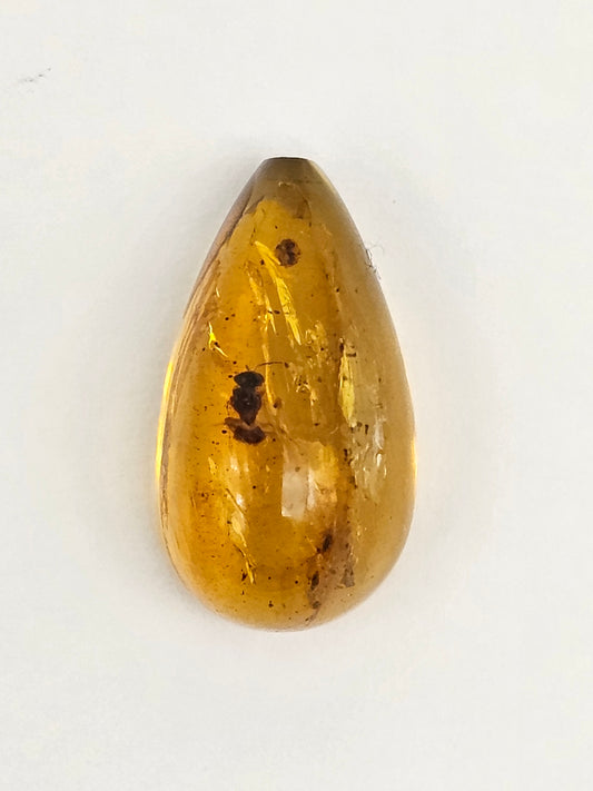 Real amber with insect inclusion