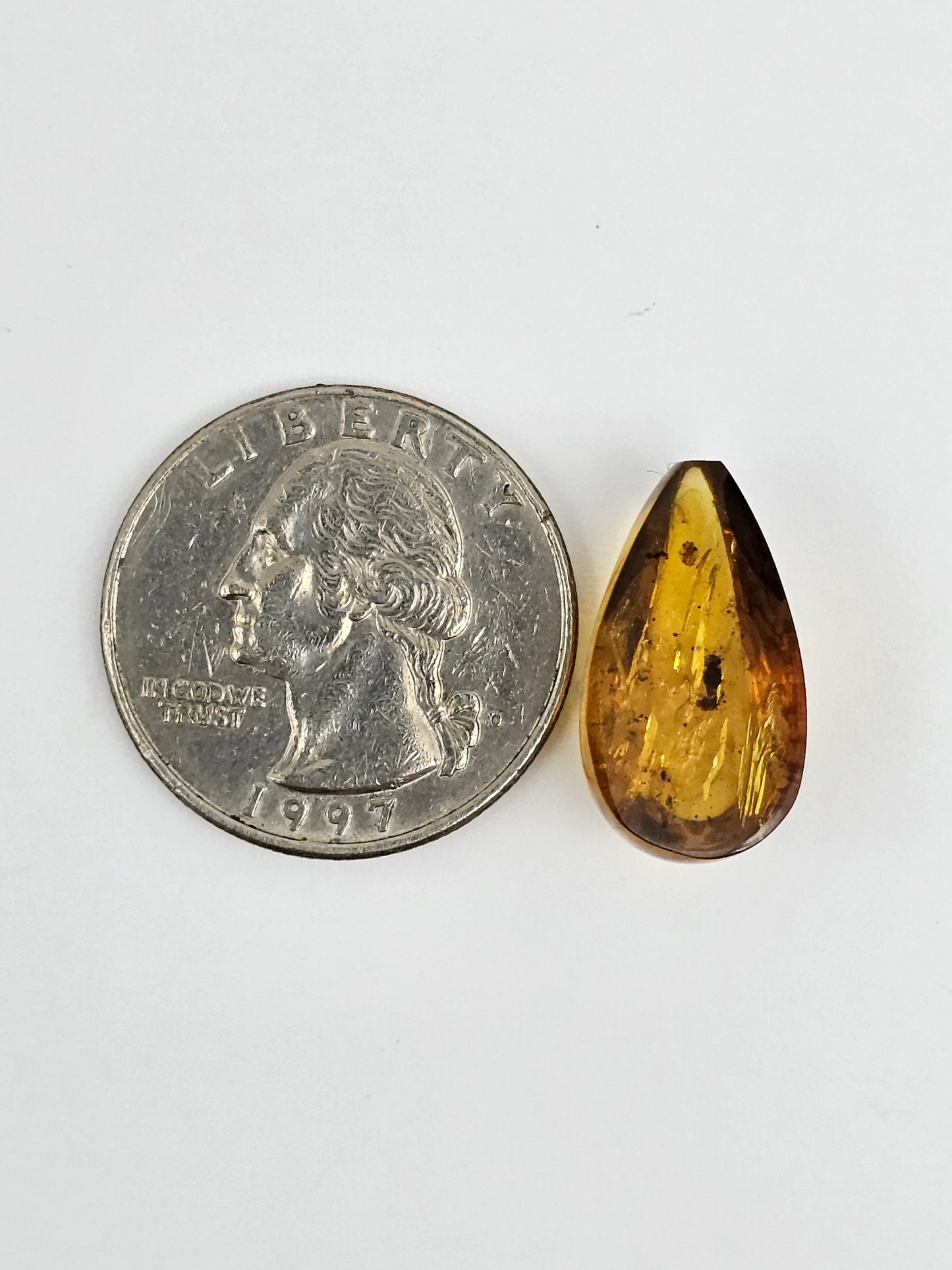 Real amber with insect inclusion