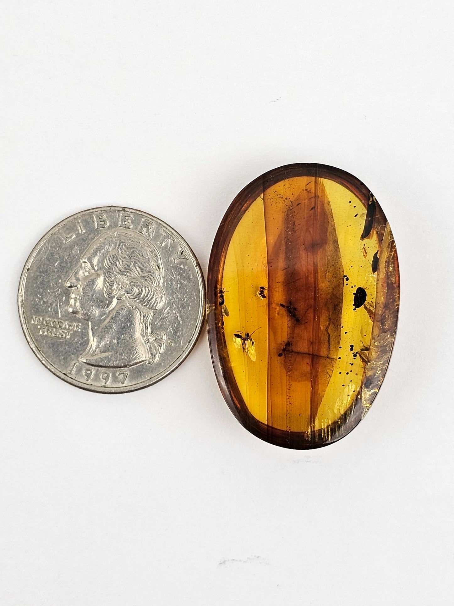 Real amber with insect inclusion