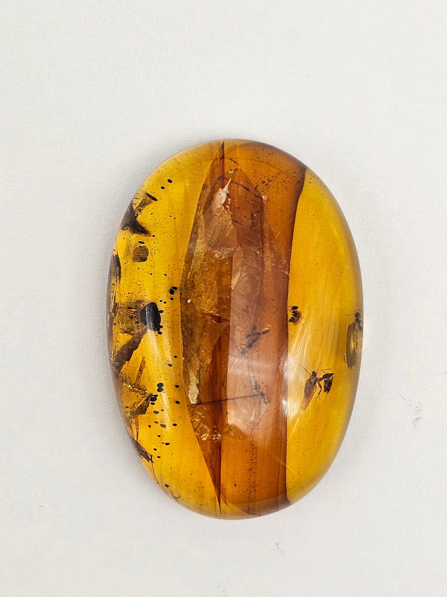 Real amber with insect inclusion