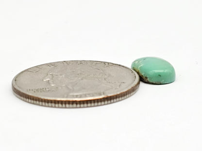 Mexican Turquoise Cabochon with Pyrite | Artisan Cut Gemstone