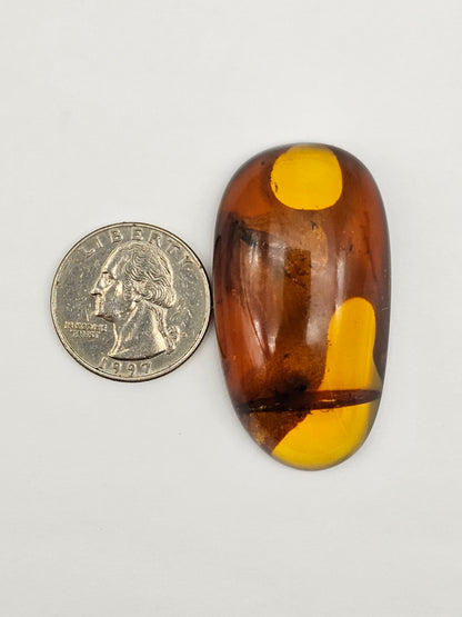 Real amber with insect inclusion