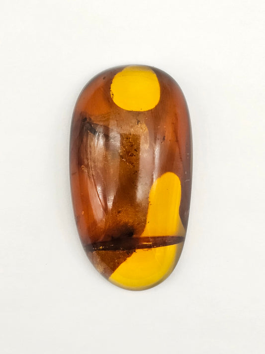 Real amber with insect inclusion