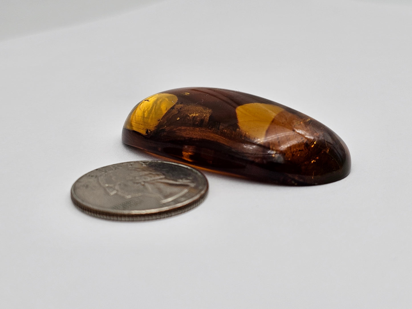 Real amber with insect inclusion