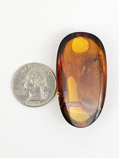 Real amber with insect inclusion