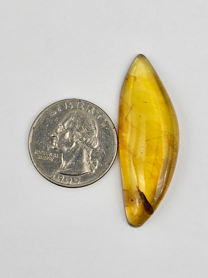 Real amber with insect inclusion