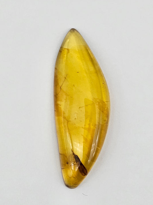 Real amber with insect inclusion
