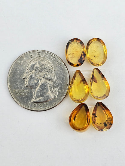Amber authentic cabochon pair lot