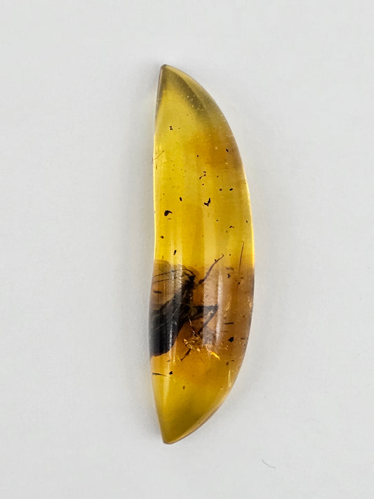 Real amber with insect inclusion
