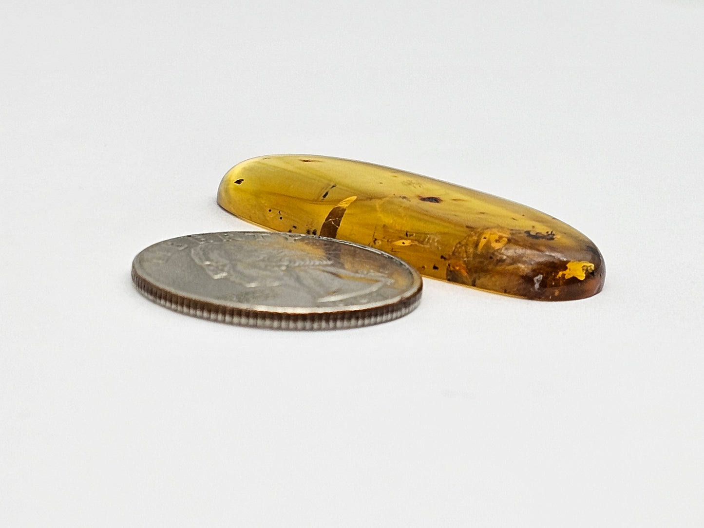 Real amber with insect inclusion