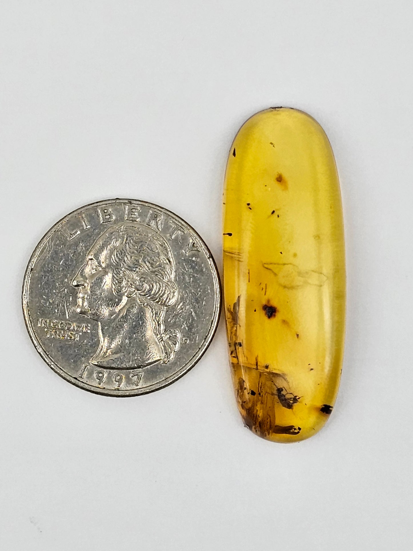 Real amber with insect inclusion