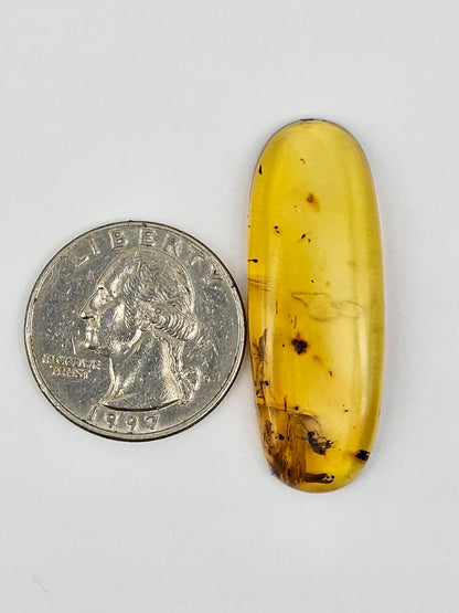 Real amber with insect inclusion