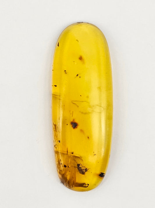Real amber with insect inclusion