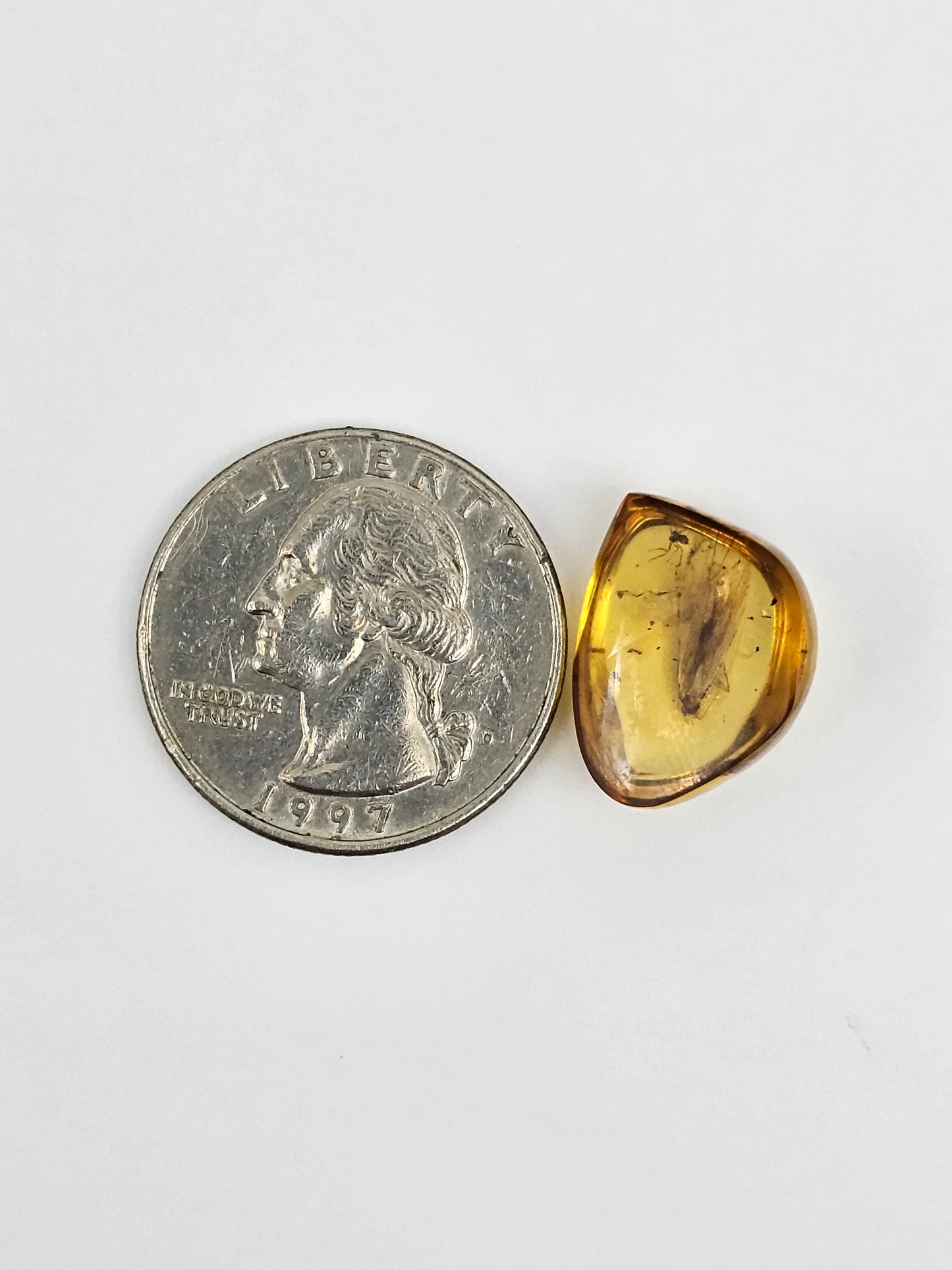 Real amber with insect inclusion
