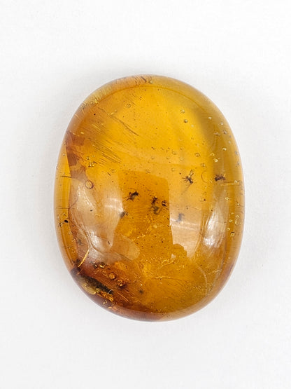 Real amber with insect inclusion
