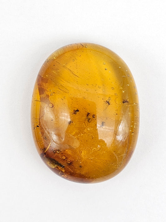 Real amber with insect inclusion