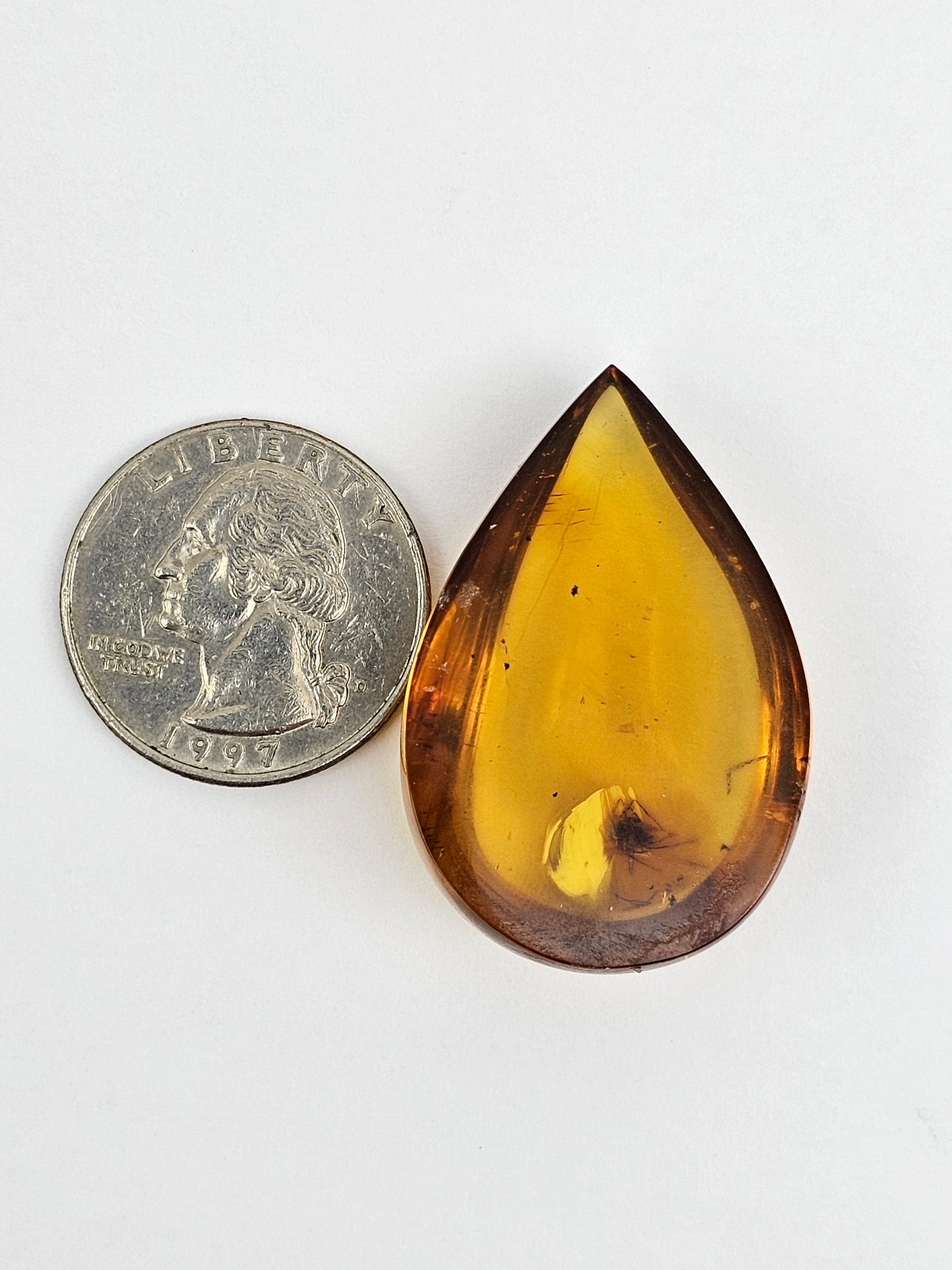 Real amber with insect inclusion