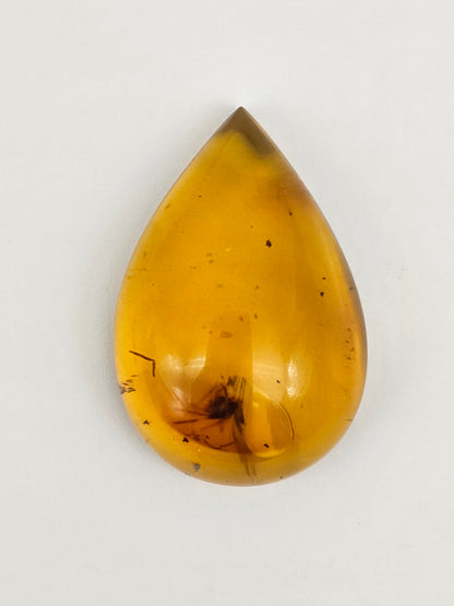 Real amber with insect inclusion