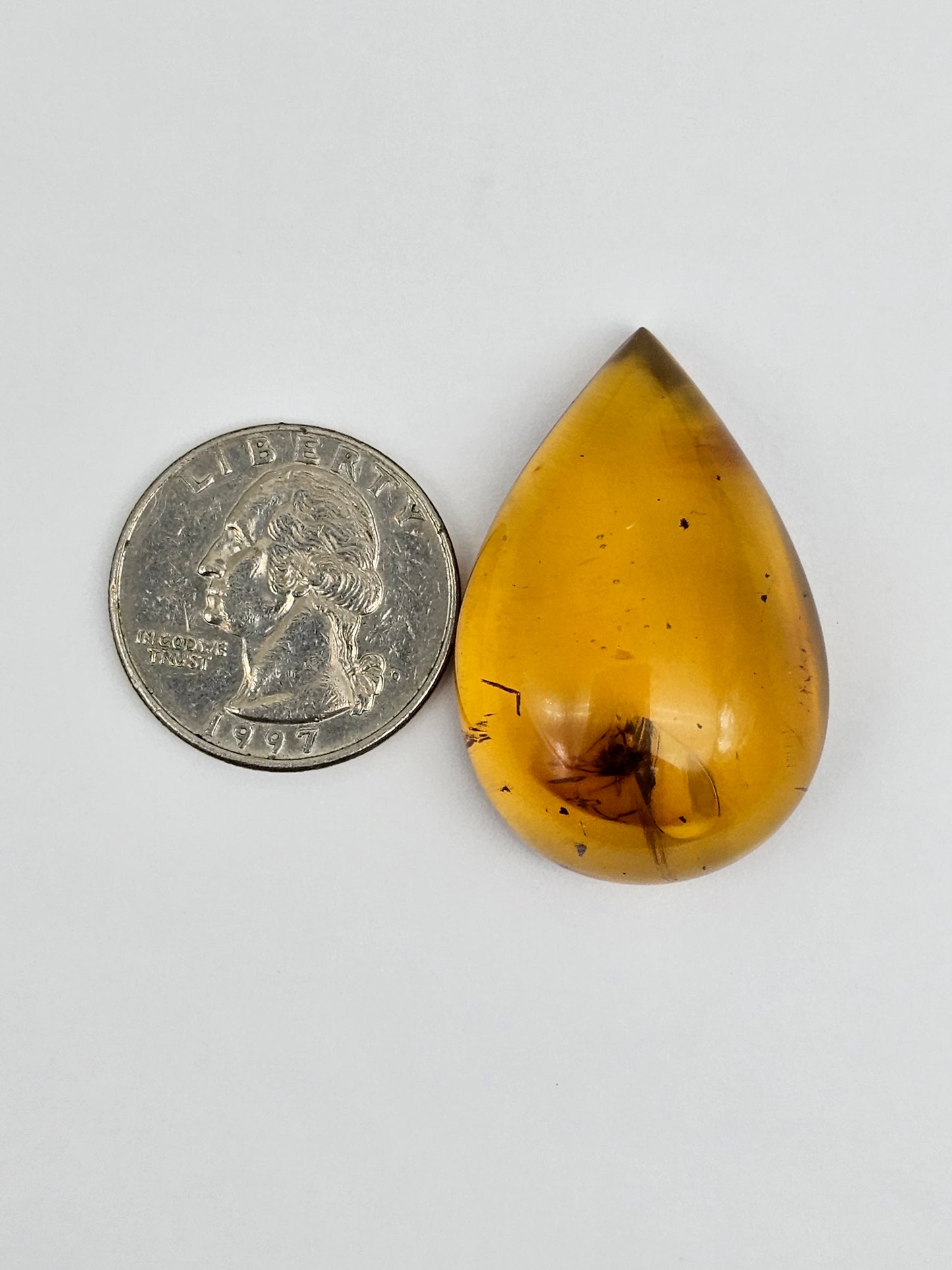 Real amber with insect inclusion