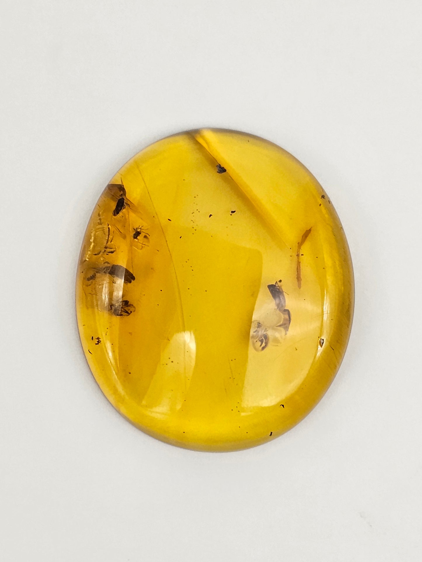 Real amber with insect inclusion