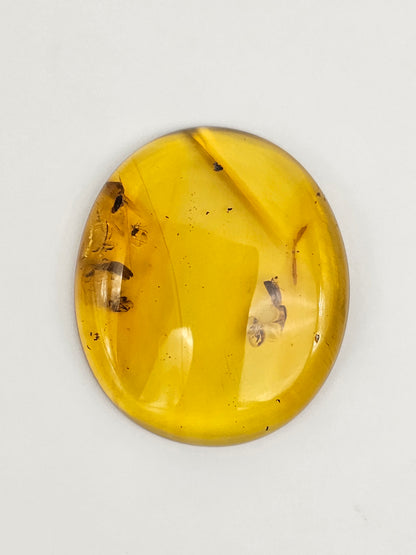 Real amber with insect inclusion