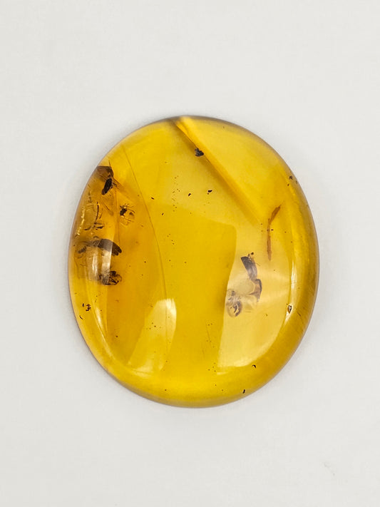 Real amber with insect inclusion
