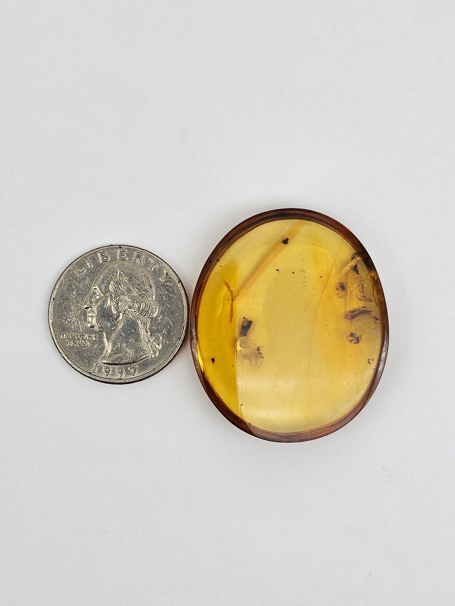 Real amber with insect inclusion