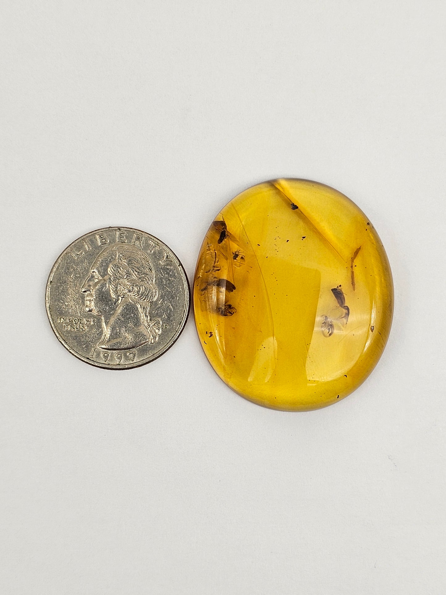 Real amber with insect inclusion