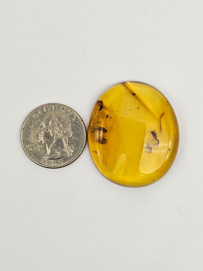 Real amber with insect inclusion