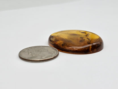 Real amber with insect inclusion