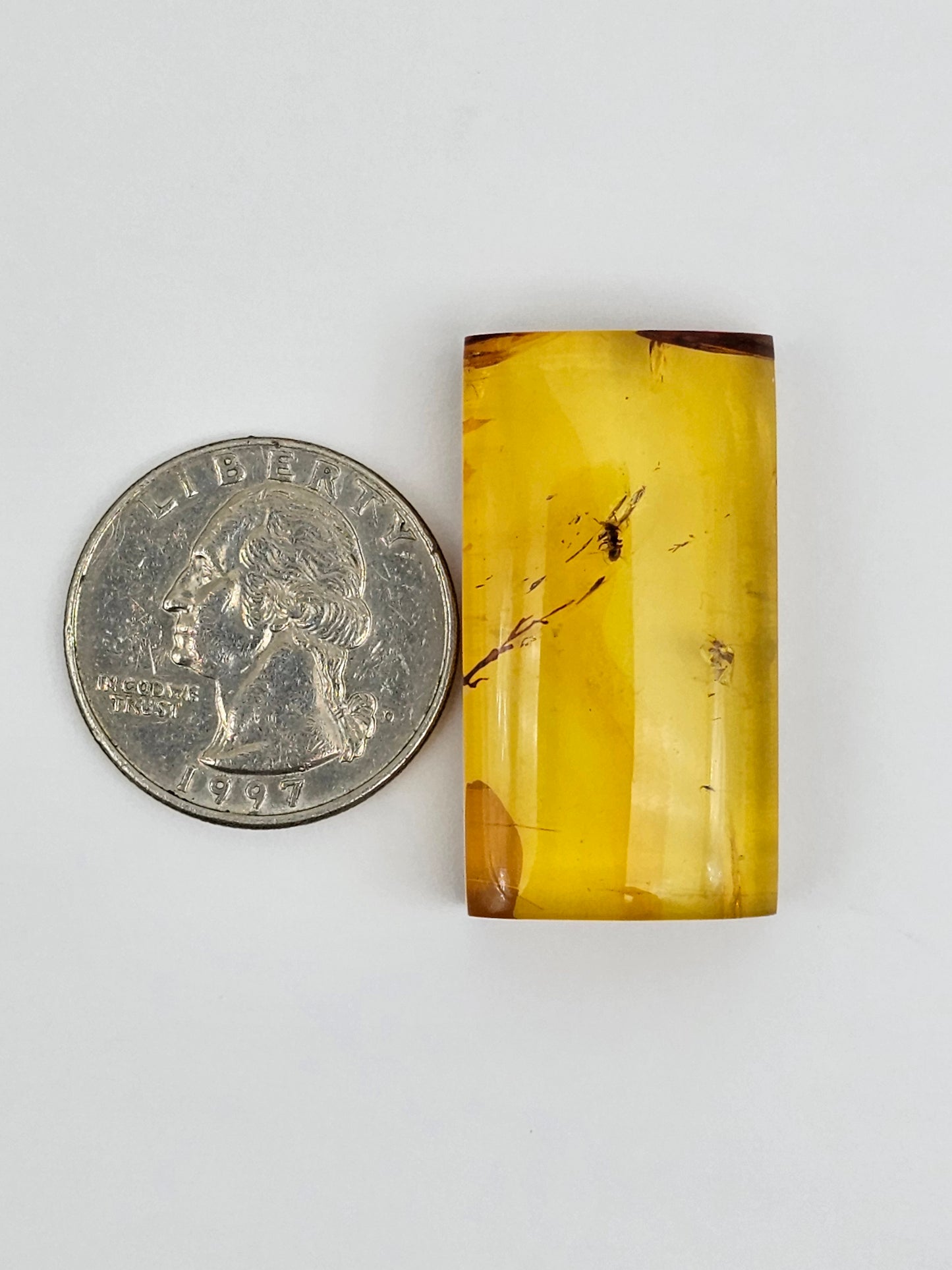 Real amber with insect inclusion