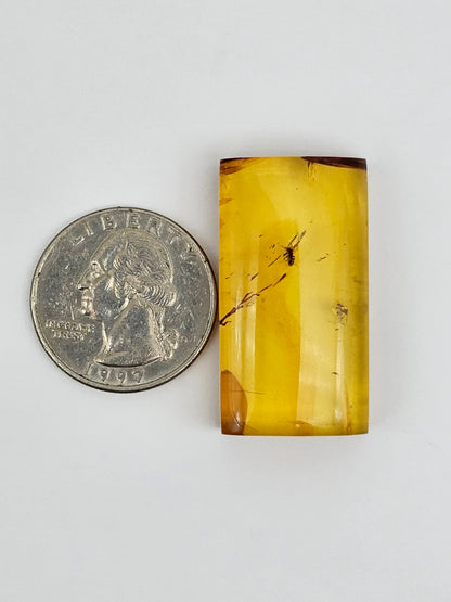 Real amber with insect inclusion