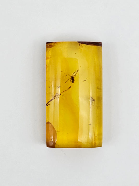 Real amber with insect inclusion