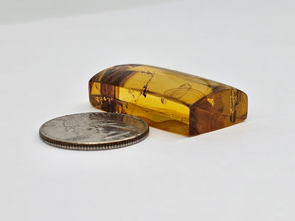 Real amber with insect inclusion
