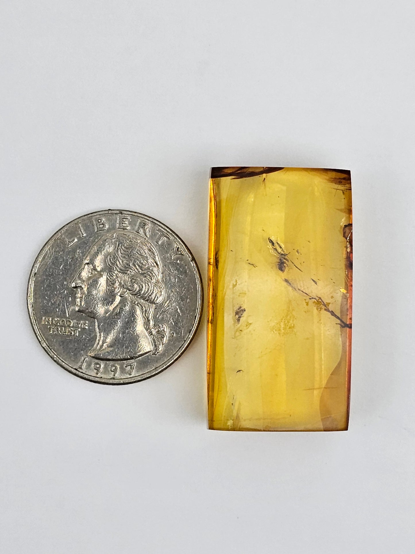 Real amber with insect inclusion