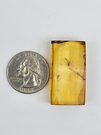 Real amber with insect inclusion