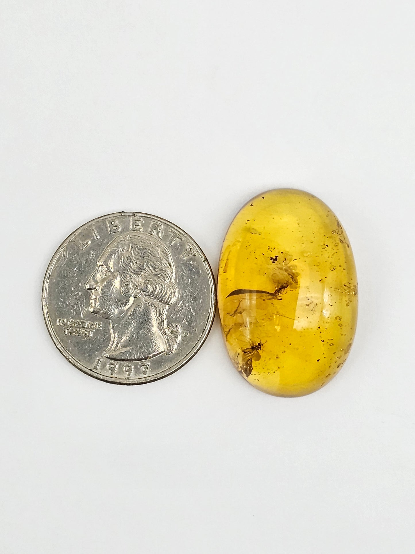Real amber with insect inclusion