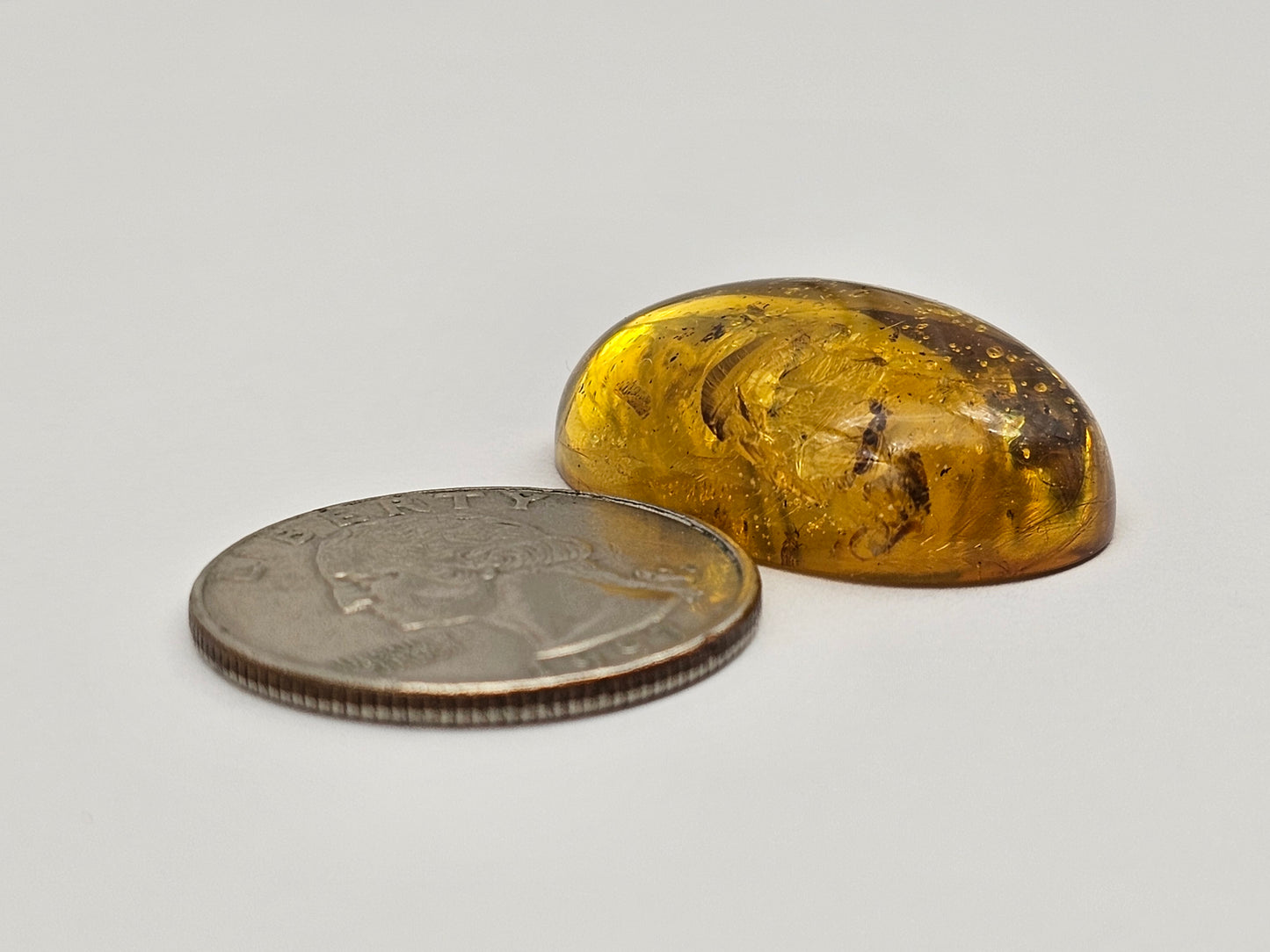 Real amber with insect inclusion
