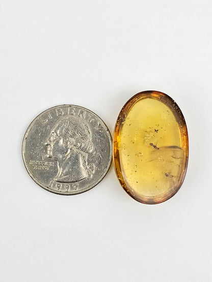 Real amber with insect inclusion