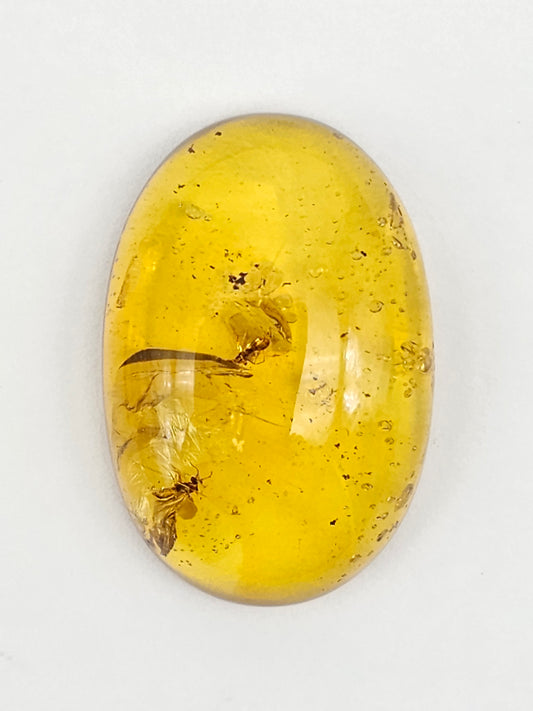 Real amber with insect inclusion