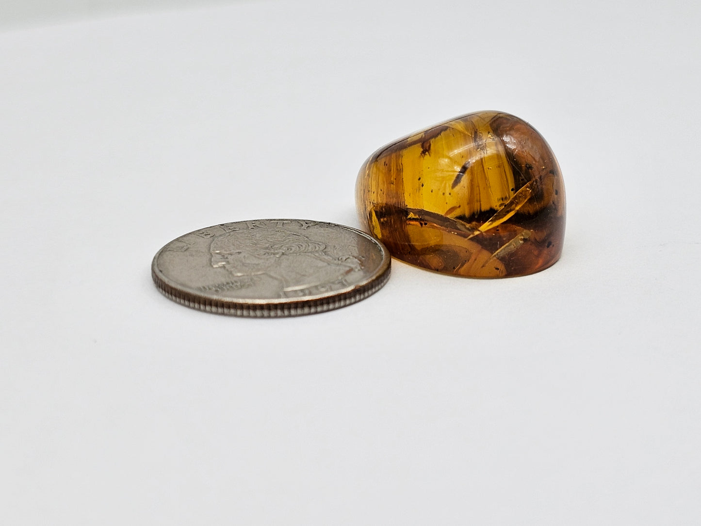 Real amber with insect inclusion