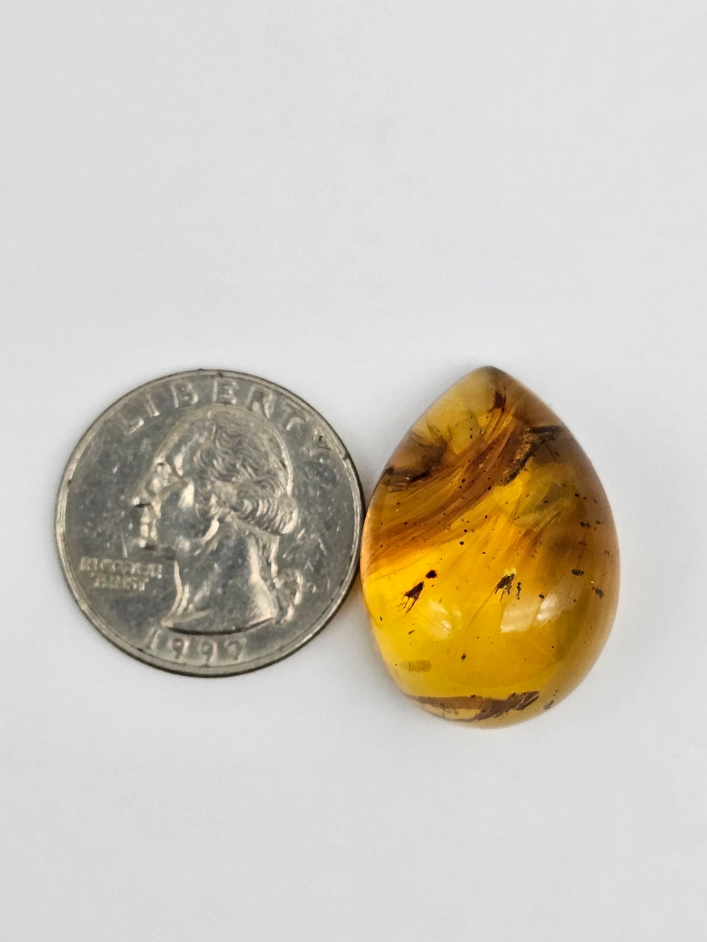 Real amber with insect inclusion