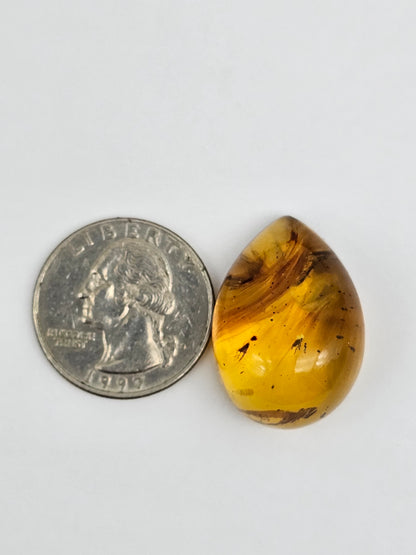 Real amber with insect inclusion