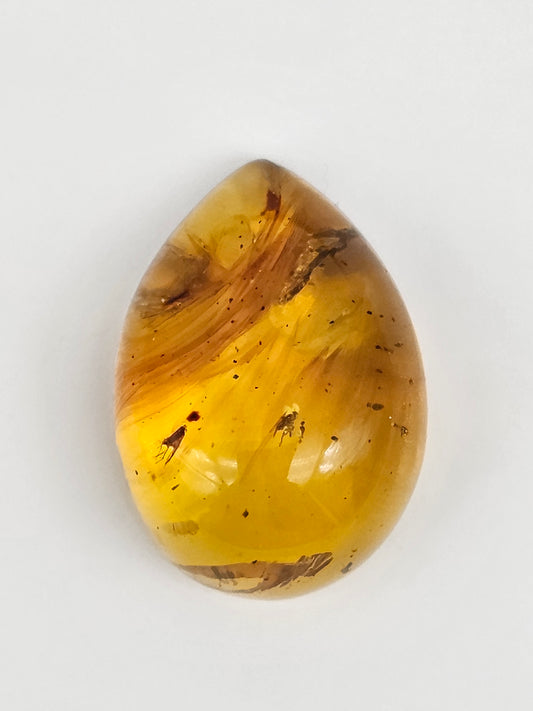 Real amber with insect inclusion