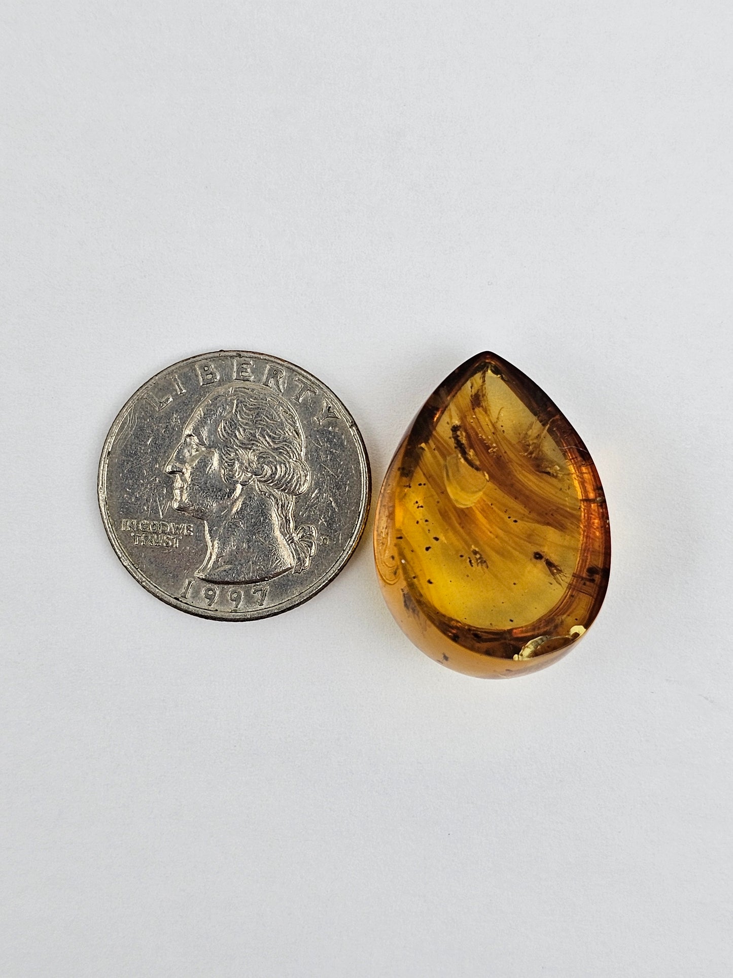 Real amber with insect inclusion