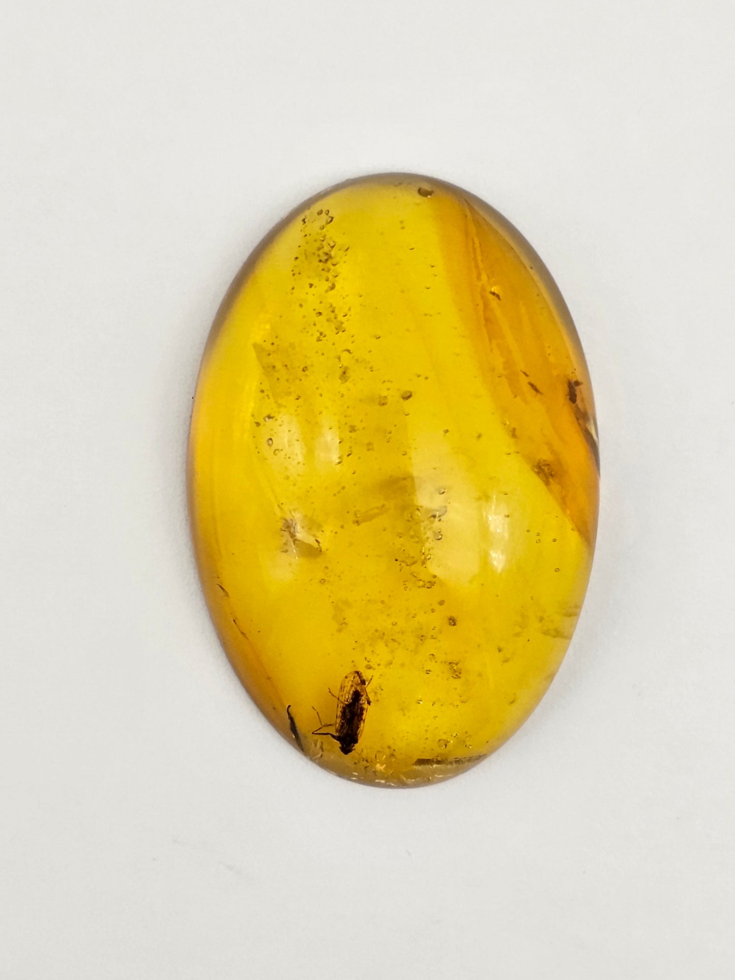 Real amber with insect inclusion
