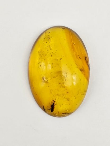 Real amber with insect inclusion